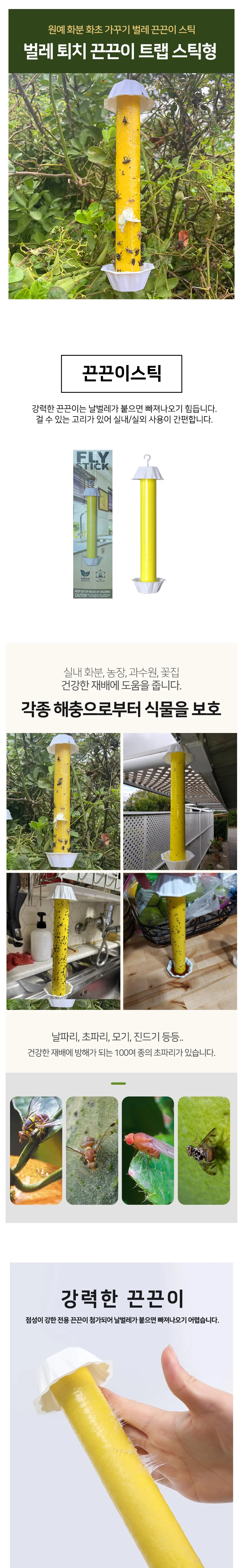 초파리 벌레 트랩 날파리 끈끈이 플라이스틱 상세2