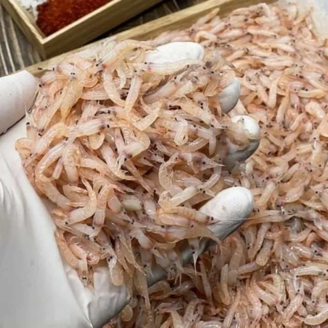 냉동 생새우 500g 냉동생새우 감칠맛재료 급냉새우