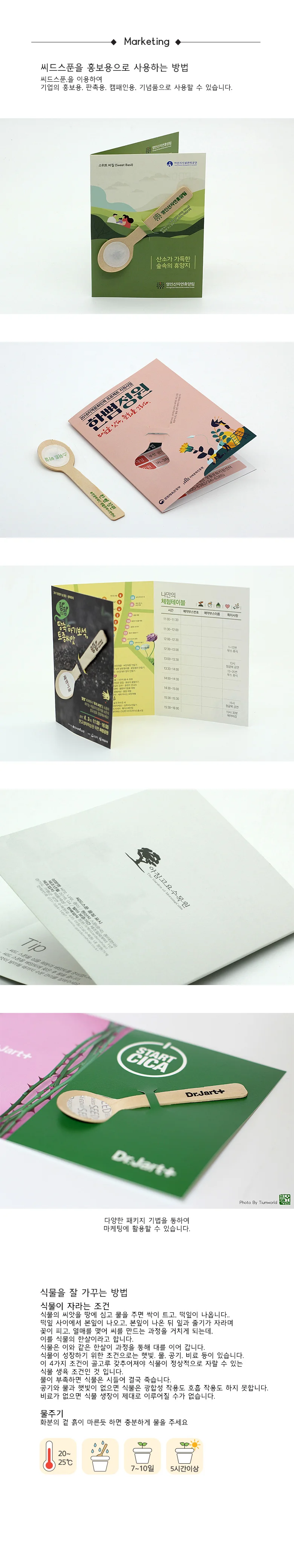 해바라기 씨앗 키우기 미니 꽃 재배 씨드스푼 세트 상세2