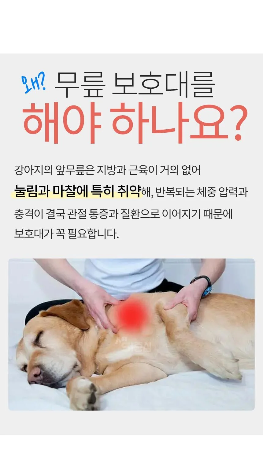 강아지 반려동물 무릎보호대 관절 보호 PE 상세2