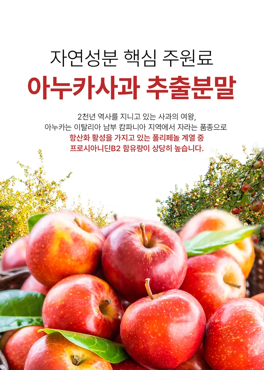 셀메이드 아누카사과맥주효모비오틴플러스 200g 1병 상세4