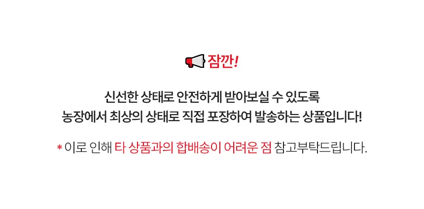 유럽상추 버터헤드 알리사 1개 상세1