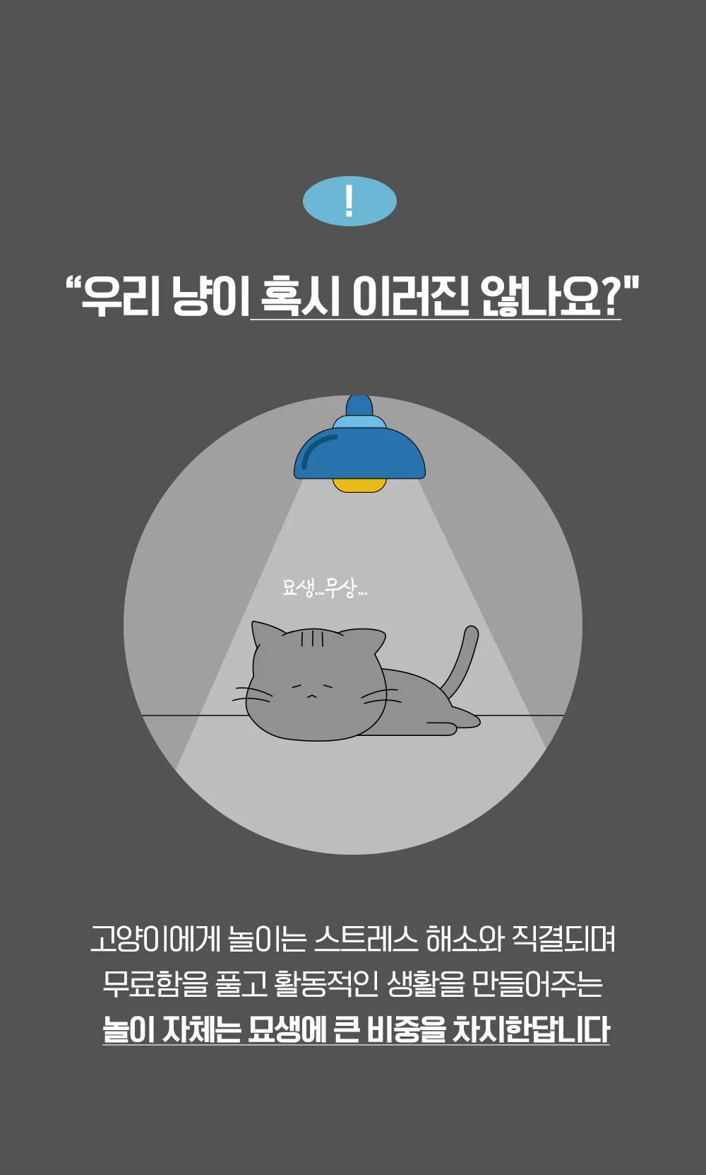 뚜또가또 고양이 헌터캐치 자동장난감/놀이/사냥 상세4