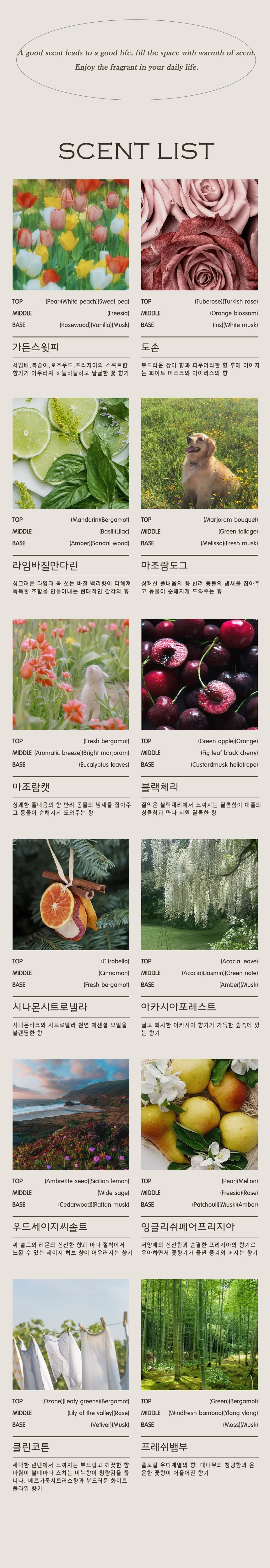 세트 소이캔들 3개 만들기 상세3