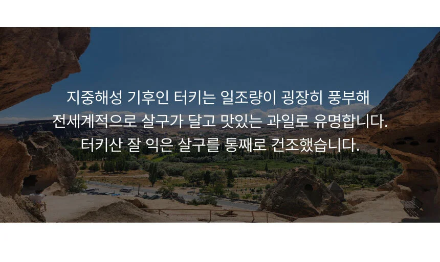 무설탕 100% 건살구 400g 건과일 건조과일 지퍼백포장 상세2