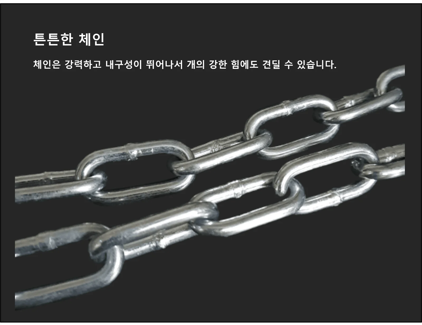 국산 체인 리드줄 5mm 3m 양고리 중형견 대형견 산책줄 상세5