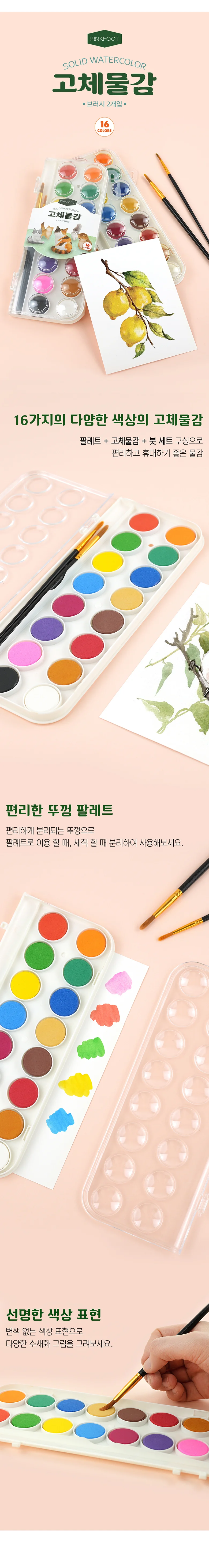 핑크풋 고체 물감 미술 그림 수채화 물감 세트 16색 상세2
