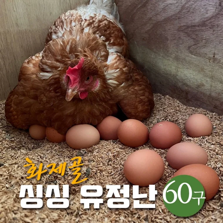 난각번호1번 동애등에 유황먹인 자연방사 싱싱유정란 60구