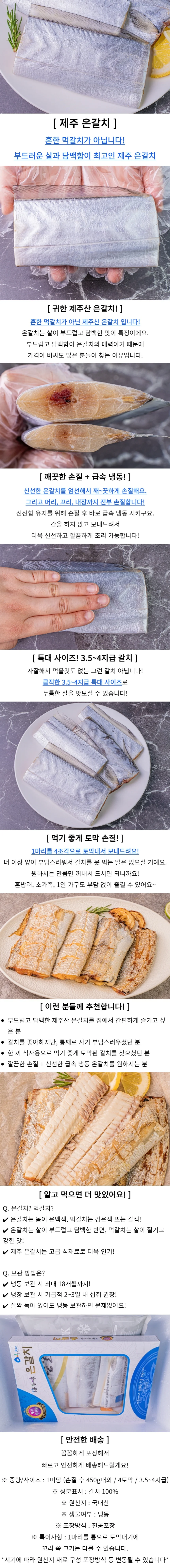 제주 은갈치 1미 특대 구이용갈치 조림용갈치 두툼한갈치 상세1