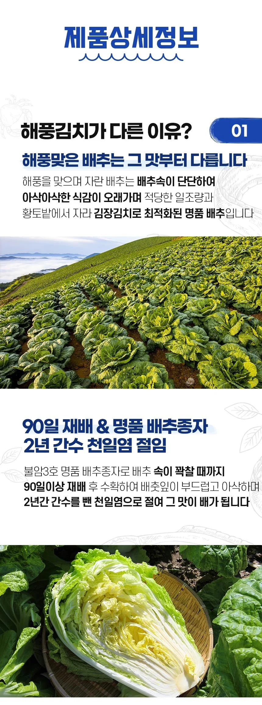 국내산 당일김장 배추김치 5kg 해풍 5kg 당일김장 해풍 10kg 상세5