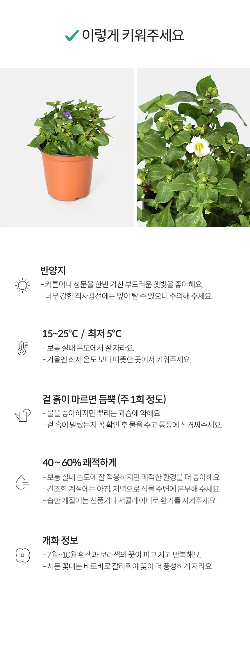 엑사쿰 (소형) 상세5