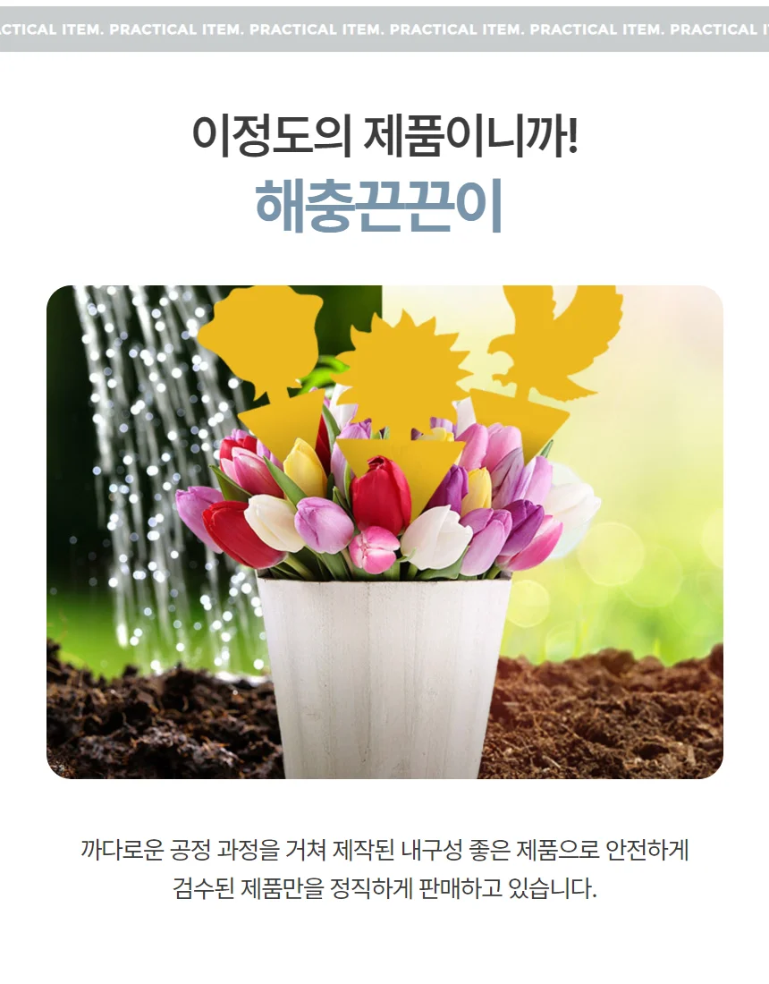 초파리트랩 날벌레포획기 나비 꽃 꿀벌 모양 해충끈끈이 상세4