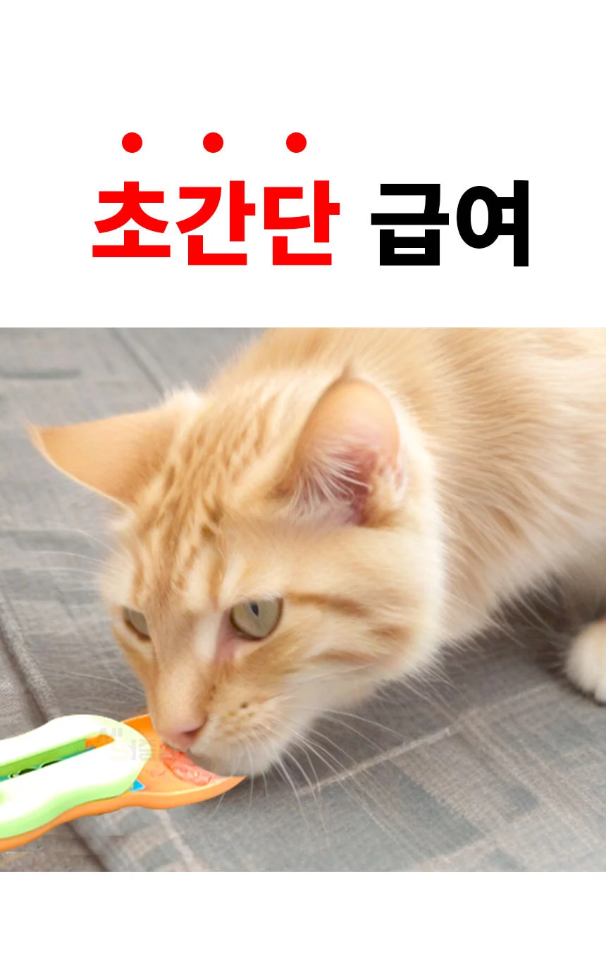 고양이 츄르 스푼 강아지 간식 츄르짜개 숟가락 PE 상세4