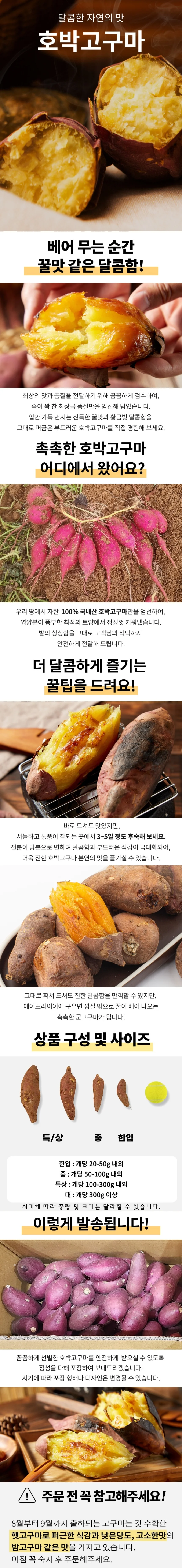 해남 호박고구마 3kg 특상 상세1