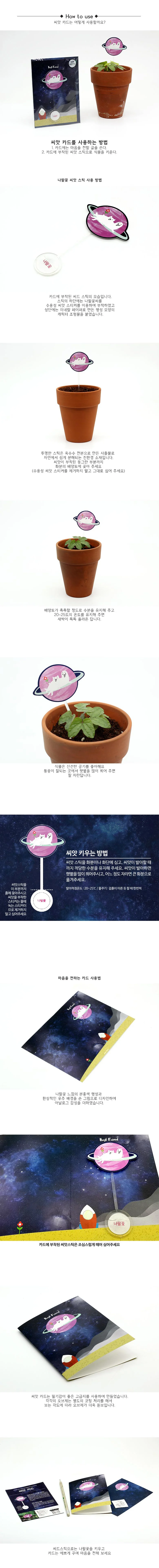 나팔꽃 씨앗카드 식물키우기 키트 미니화분 재배세트 식물소품 상세2