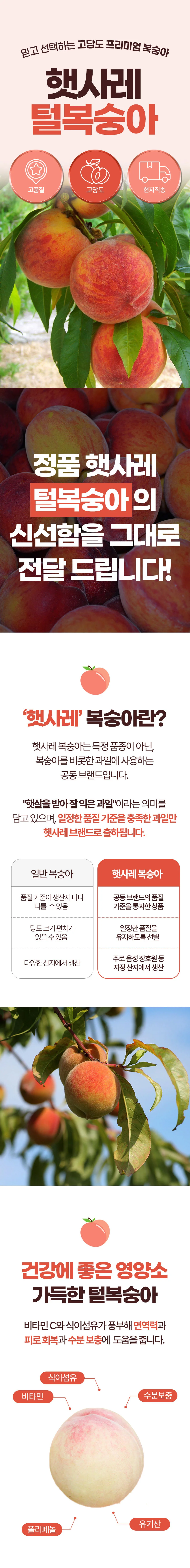 햇사레 백도복숭아 대과 2kg(8~9과 내외) 상세1
