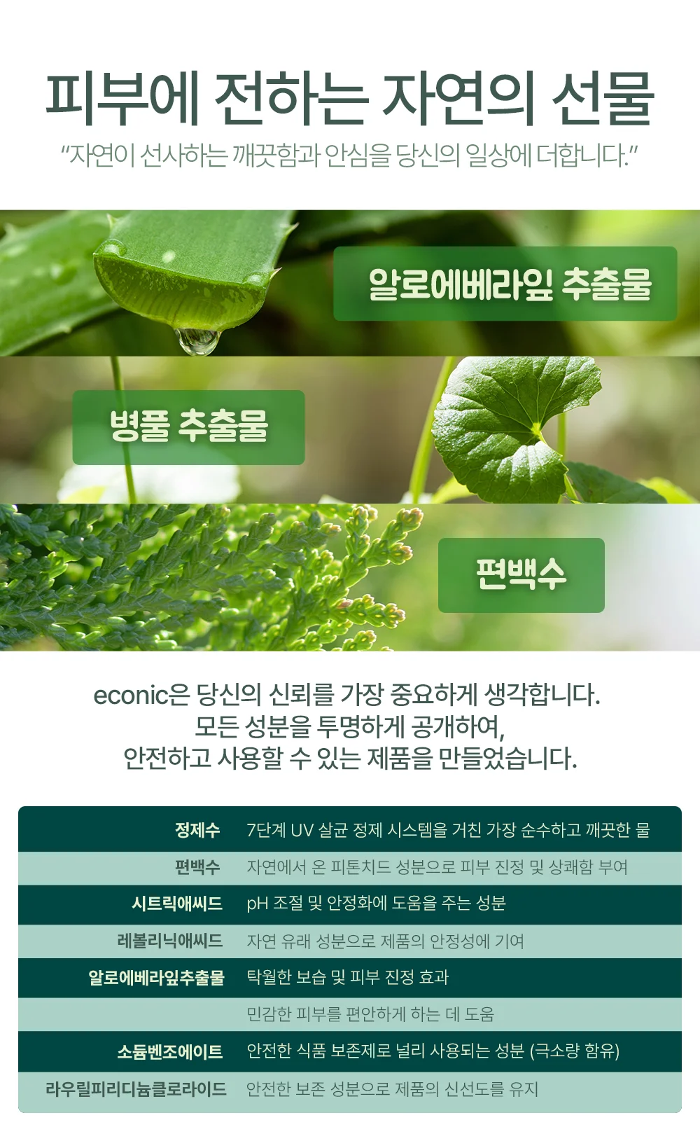 에코닉 브라운 40gsm 30매 캡형 레이온100% 생분해원단 상세7