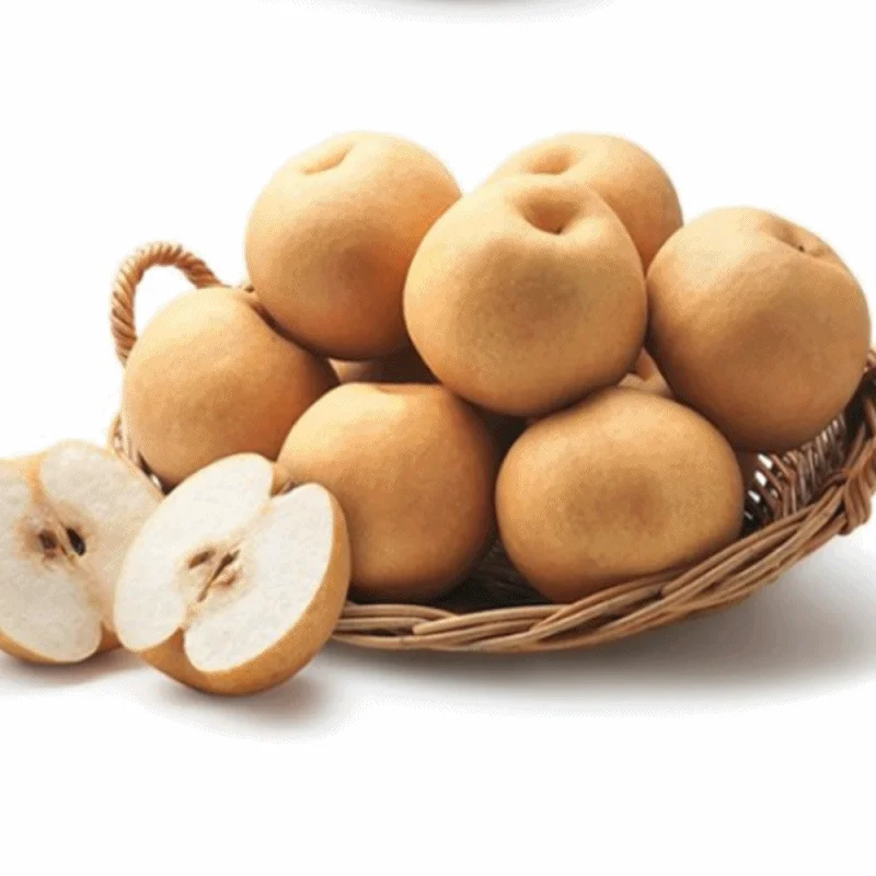 과일 명절선물 추석 배 아뜰배 3kg 박스 pear 상세2