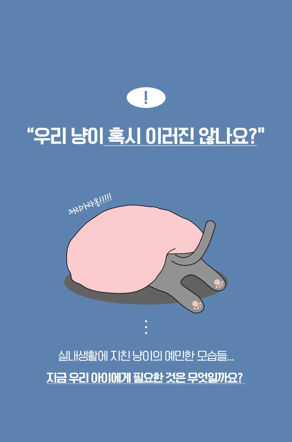 뚜또가또 캣닢 사탕/롤링 캣잎사탕 2개입 상세4