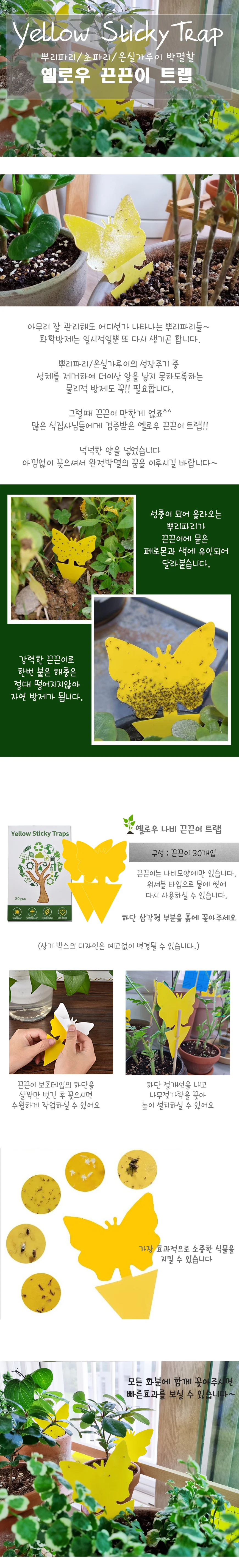 뿌리파리 끈끈이 날파리 초파리 트랩 30매 나비모양 상세1