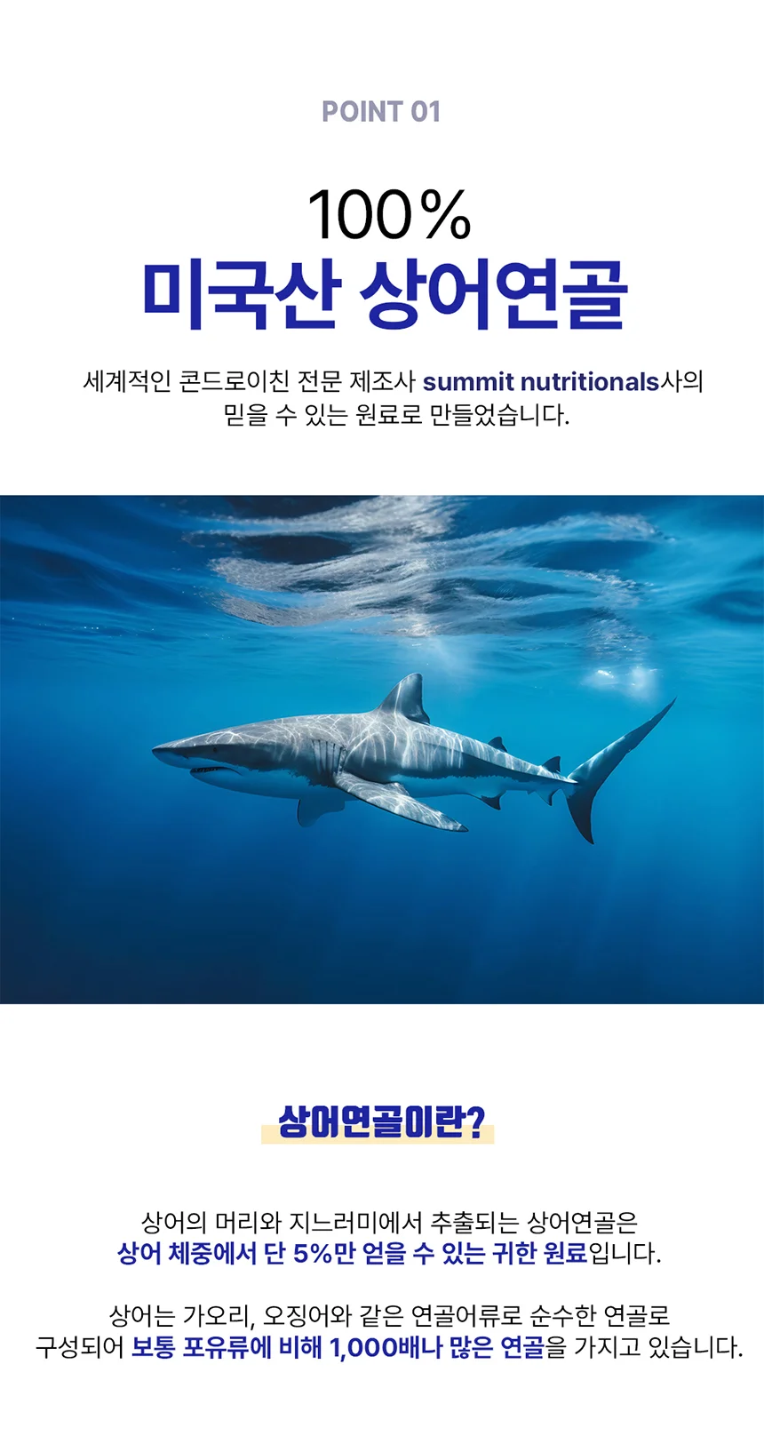 셀메이드 상어연골콘드로이친정 1병 상세10
