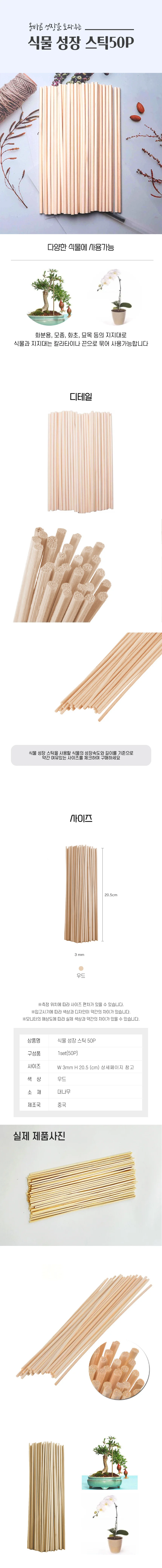 식물 성장 대나무 스틱 지지대 20cm 50P DD-11483 상세2