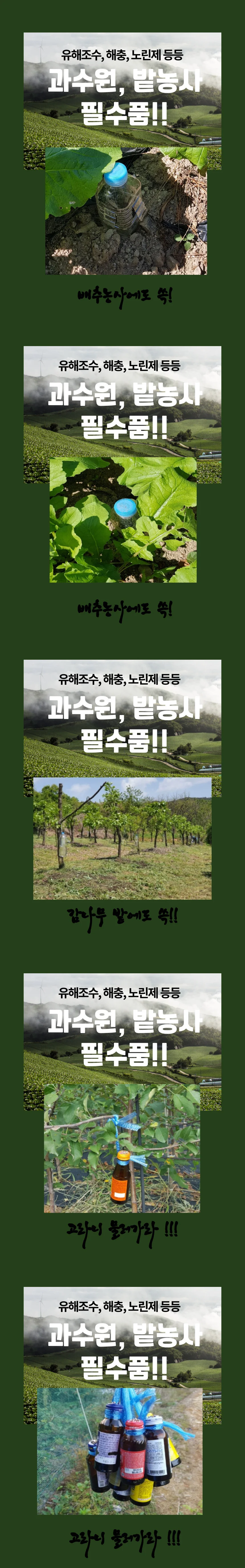 크레졸 크레솔 크레졸비누액 소독약 원액 야생동물퇴치 5개 상세1