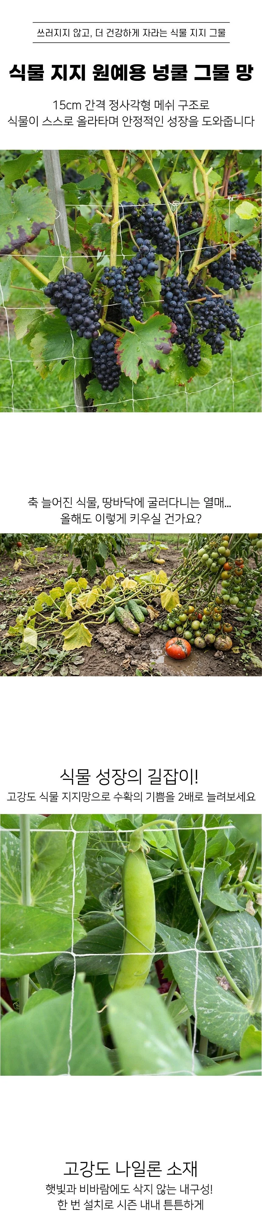 식물 지지 원예용 넝쿨 그물 망 5M x 1.67M 상세1