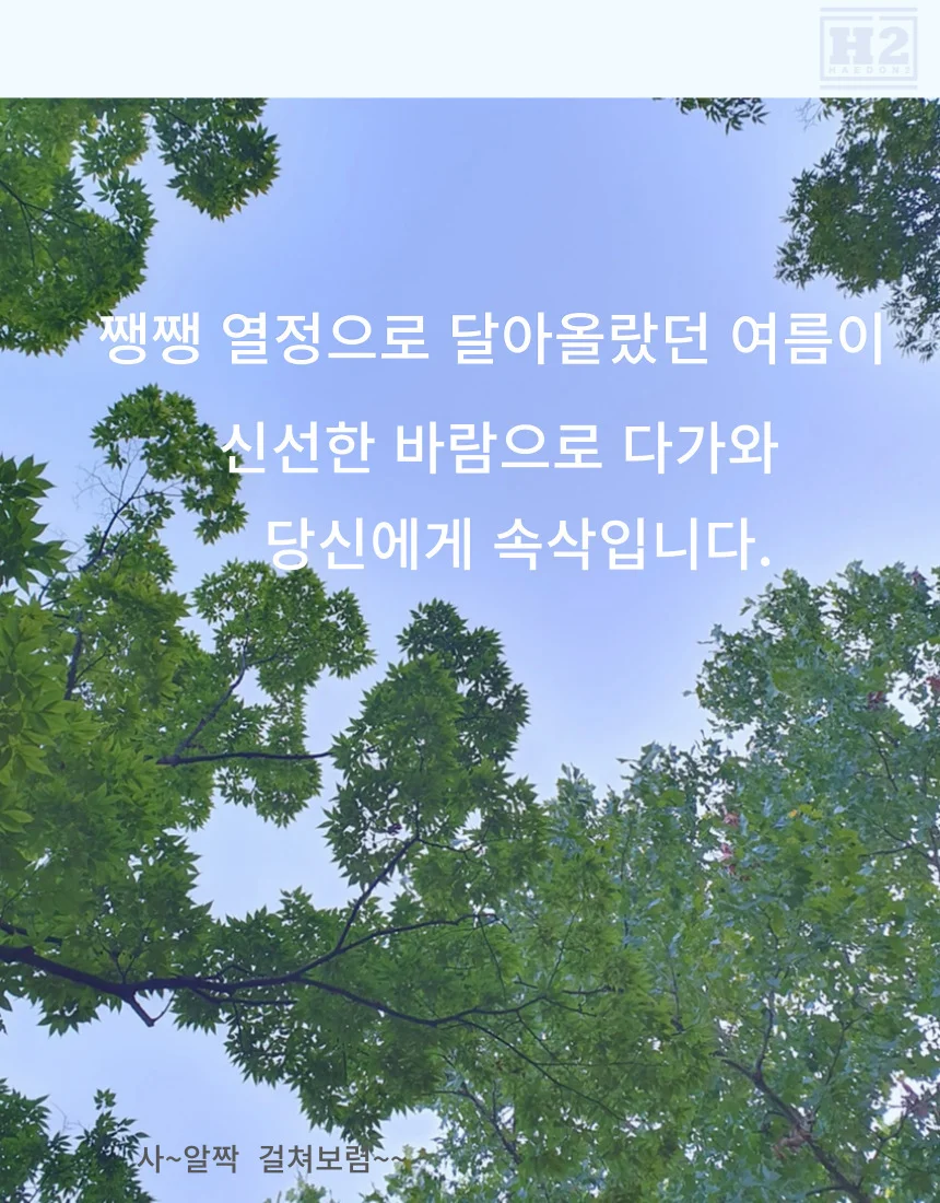 여성 작업남방 긴팔 체크 봄 여름 가을 면혼방 상세1