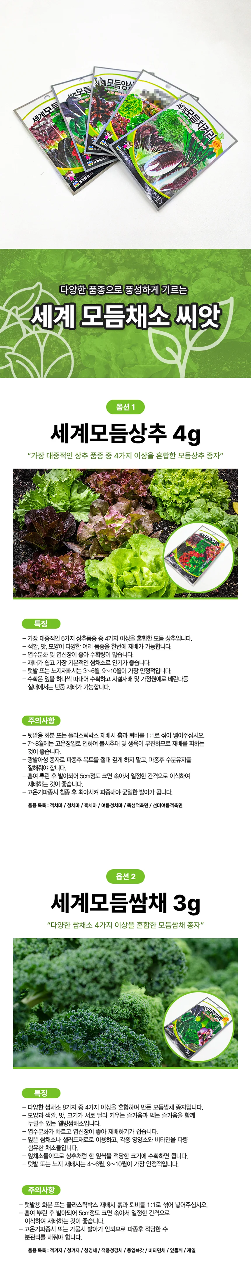 세계채소 상추 모듬 채소 씨앗 원예 홈가드닝 키트 상세2