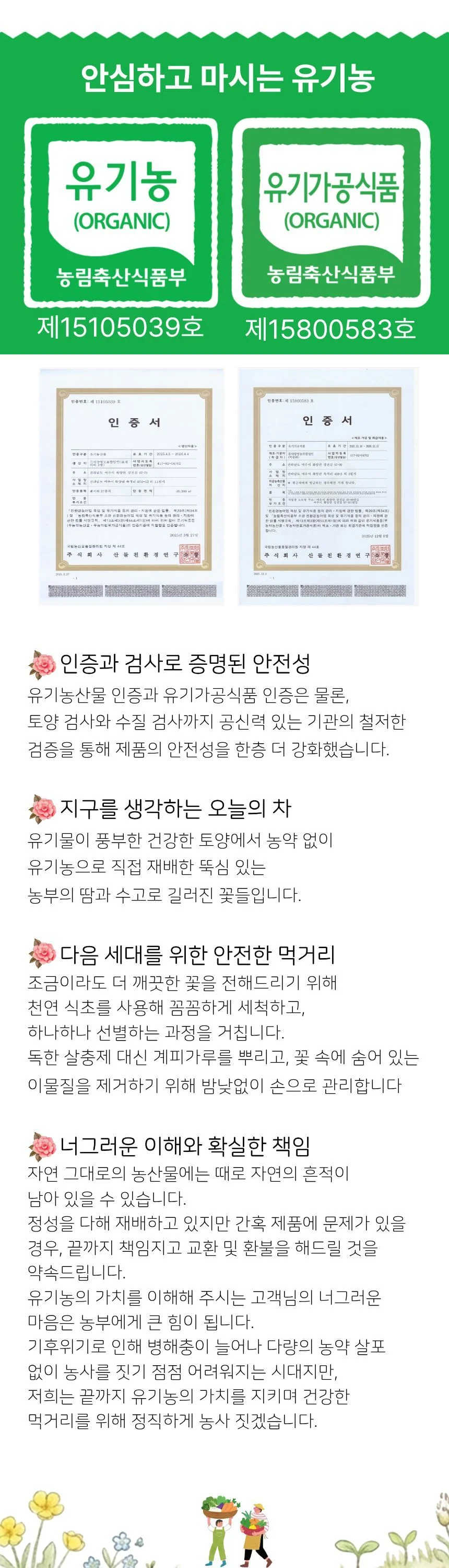 유기농 수제덖음 목련꽃차 상세1