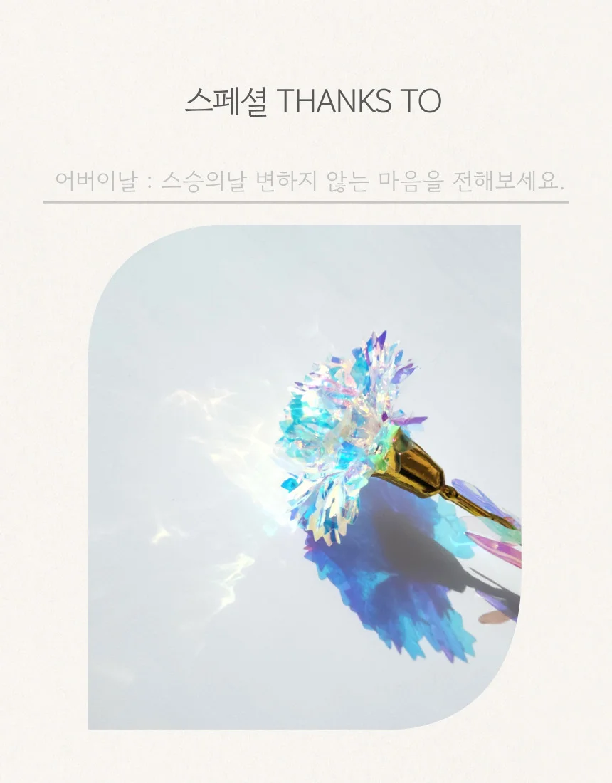 카네이션 조화 오로라 어버이날 스승의날 행사 선물 상세3