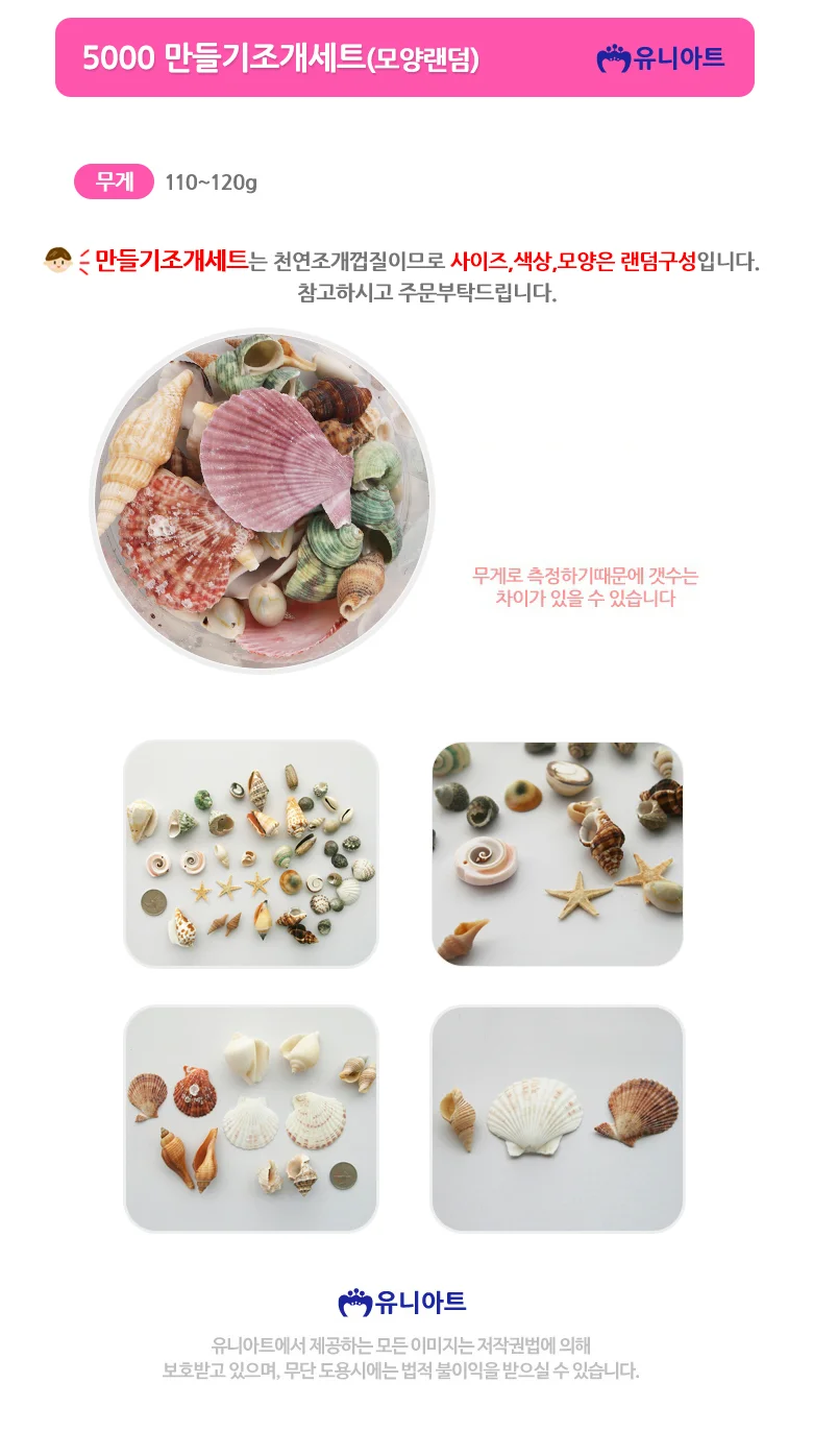 조개 세트 만들기 미술 공예 장식 작품 제작 체험용 상세1