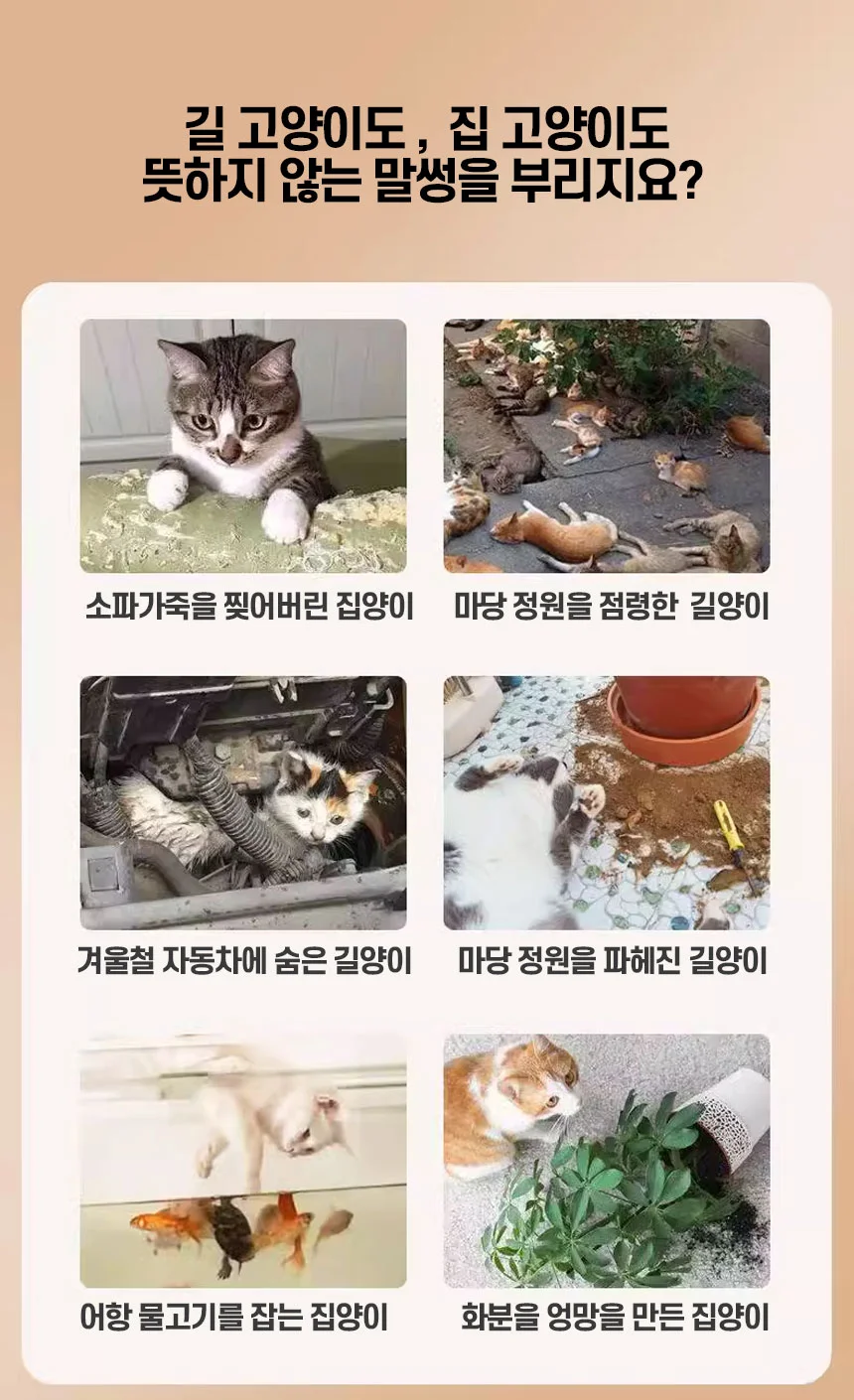 길고양이 비둘기 퇴치 캣 버드 스파이크 매트 6개입 상세3