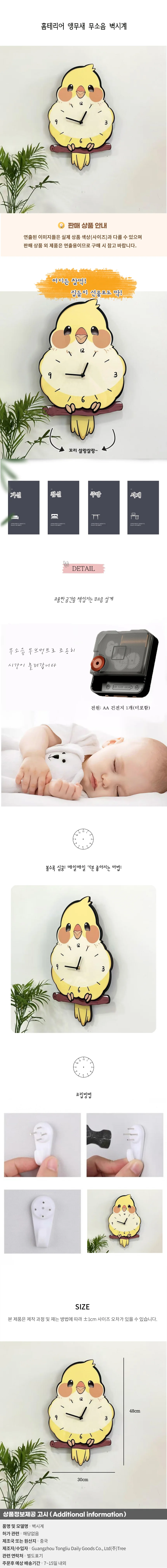 홈테리어 앵무새 무소음 벽시계 상세1