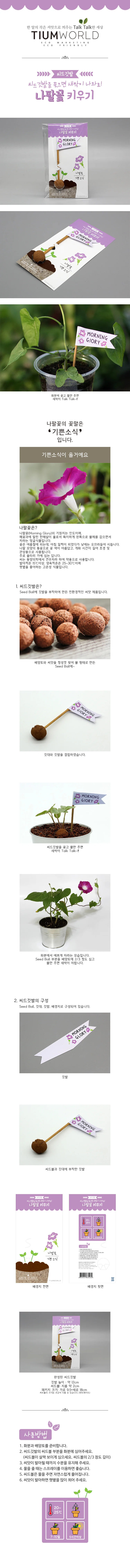 나팔꽃 씨앗깃발 식물키우기 키트 채소재배기 채소키우기 식물재배기 상세1