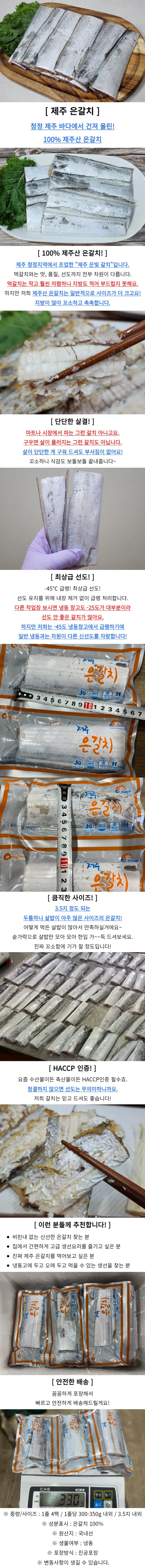 제주 은갈치 40토막 대 갈치토막 갈치구이 상세1