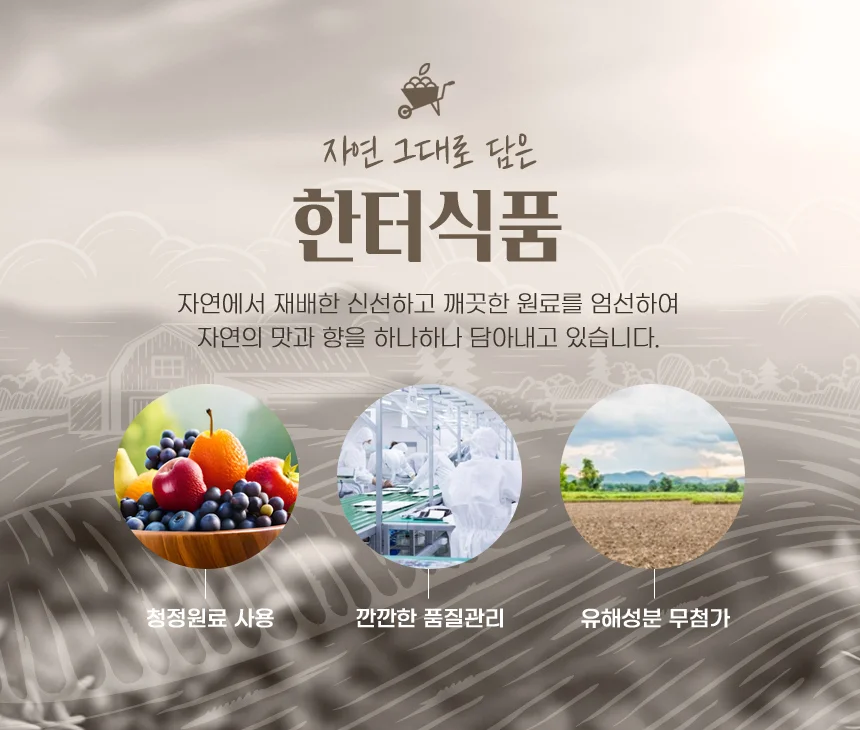 수제 과일잼 선물세트 수제 무설탕 아로니아잼 400g 국내산 명절 추석 답례품 상세2