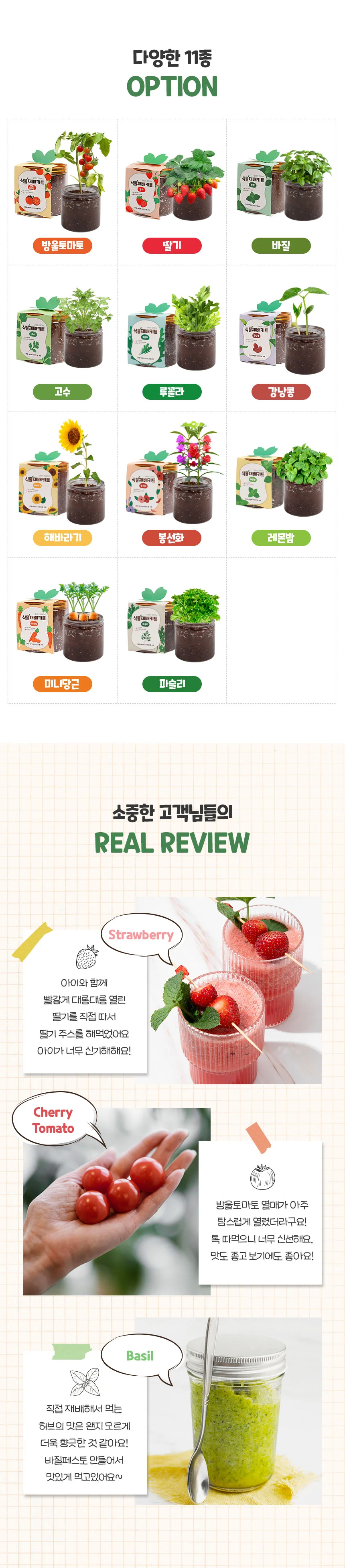 방울토마토 딸기 허브 키우기 이지그로우 재배 세트 상세4