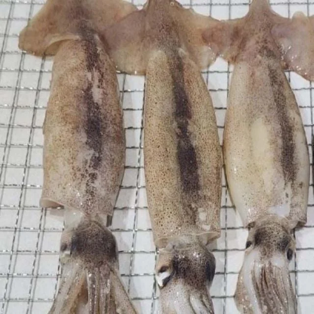 국내산 냉동 오징어 3미 오징어구이 냉동수산물