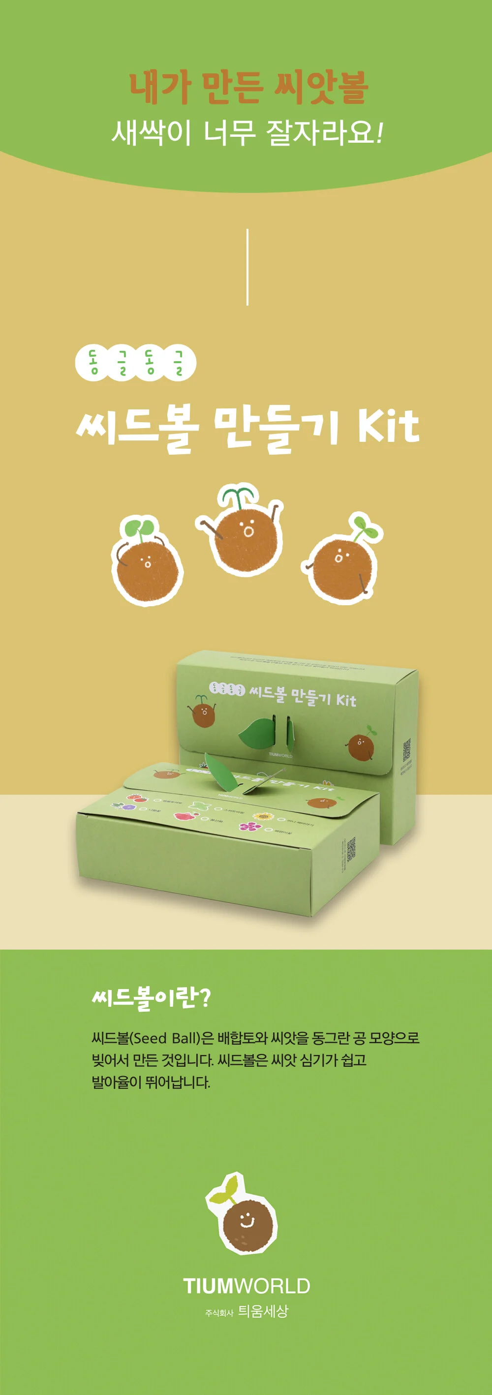 글로벌이지 뚝딱 틔움 씨드볼 만들기 DIY 키트 상세2