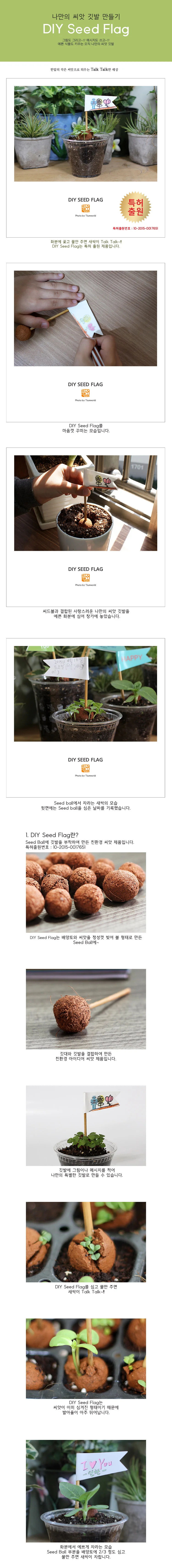 그림 씨앗깃발 화분픽 장식 팻말 꽃씨 씨드볼 시드볼 꽃씨앗 상세1