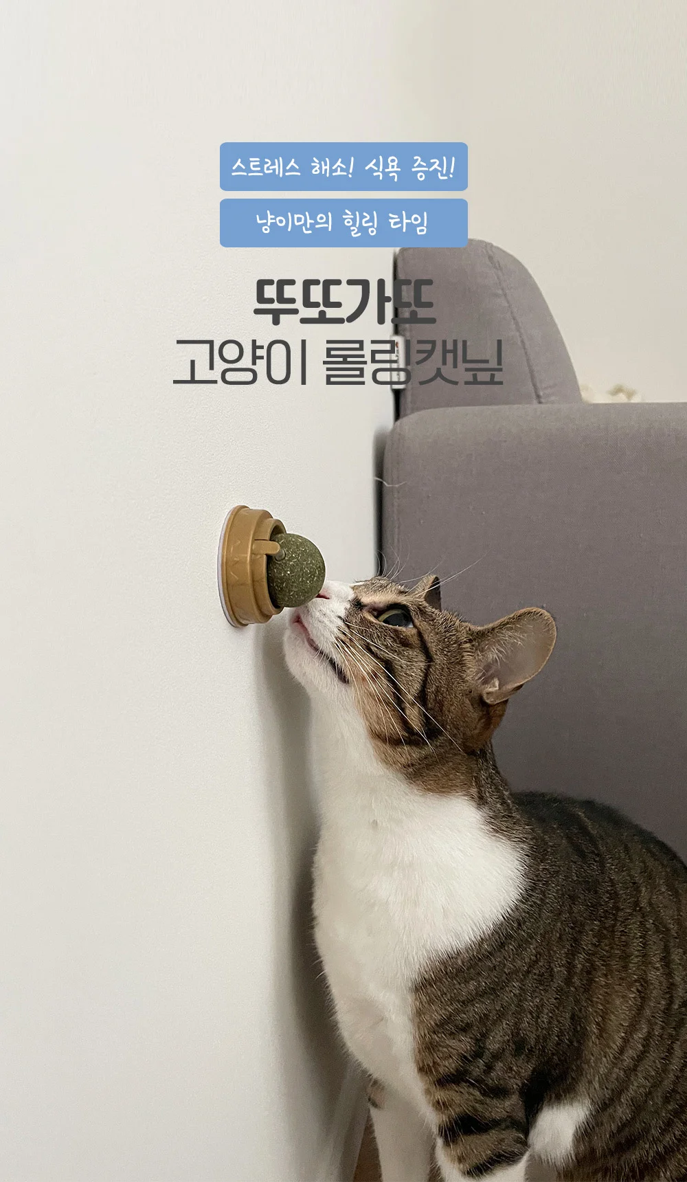 뚜또가또 캣닢 사탕/롤링 캣잎사탕 2개입 상세2