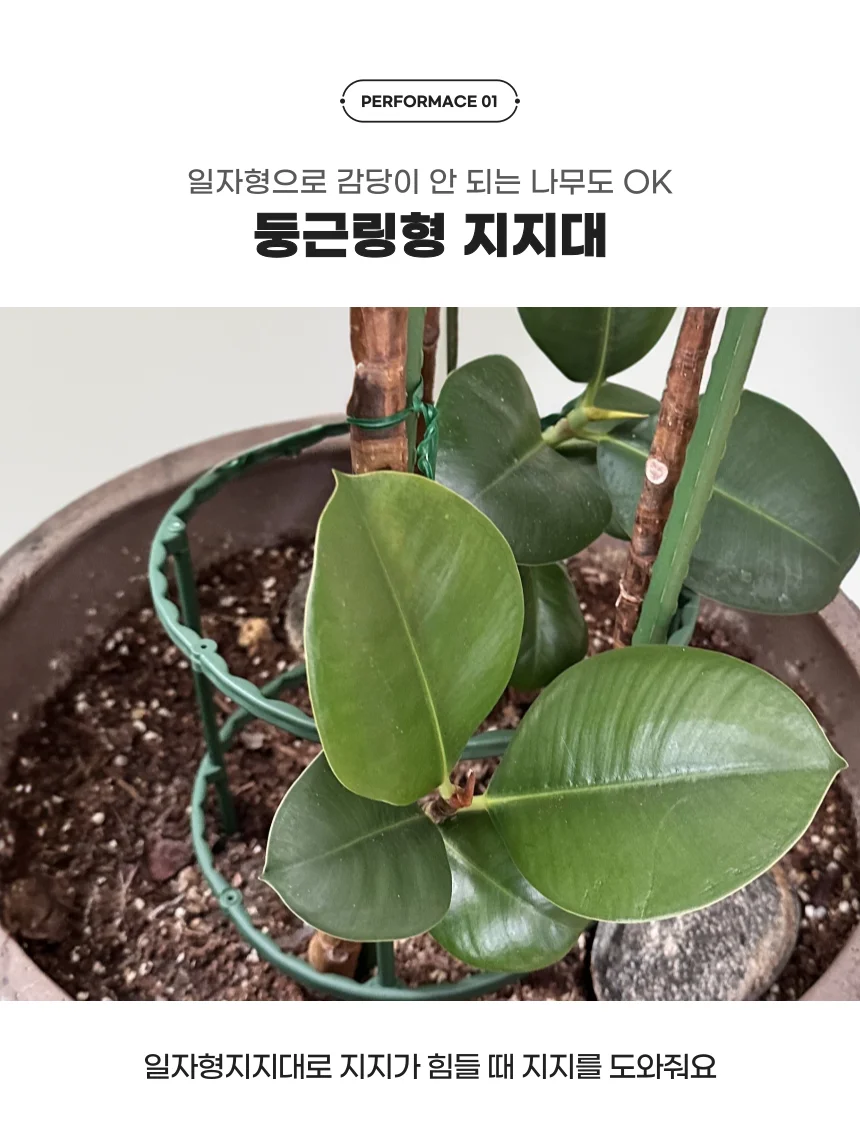 원예 화분 원형 식물 지지대 세트 상세4