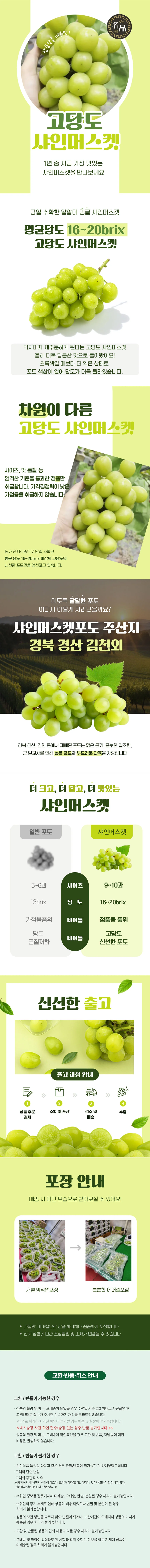 샤인머스켓 특품 2kg(3~4수 내외) 상세1