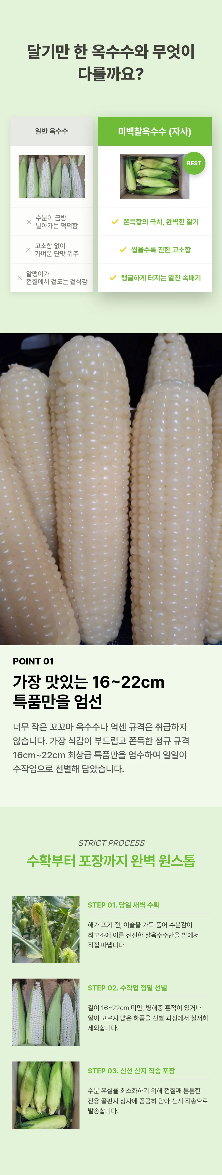 강원도 미백 찰옥수수 특품 20개입 (16 22cm 내외) 상세3