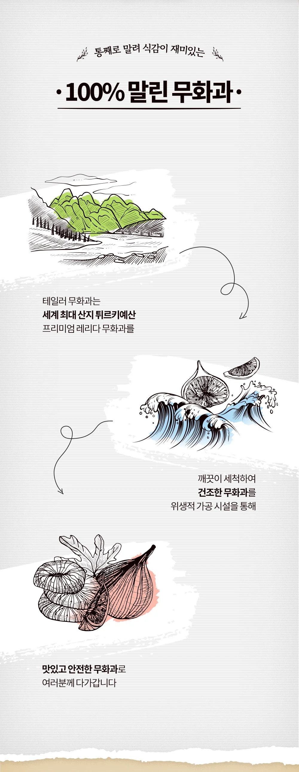 통째로 말린 무화과 3개(Tayer) 상세2