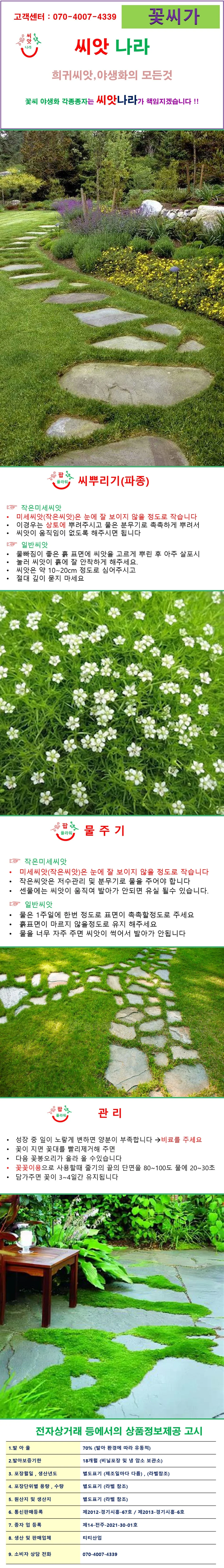 잔디대체 씨앗 아이리쉬모스 2000립 약3평 상세1