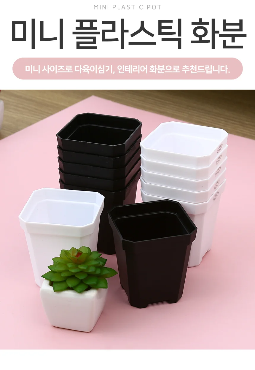 모노리빙 미니 플라스틱 화분 7X8cm 플라스틱화분 사각플라스틱화분 상세2