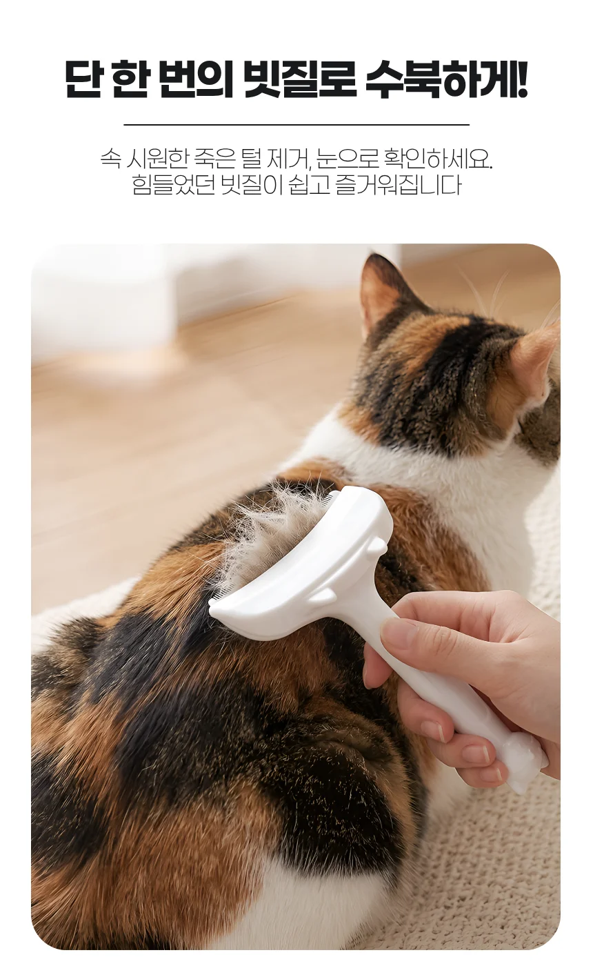 안고양이 빗 강아지 털빠짐 그루밍 죽은털 엉킨털 제거 브러쉬 상세3
